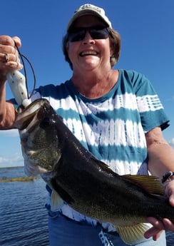 Largemouth Bass fishing in Fort Lauderdale, Florida