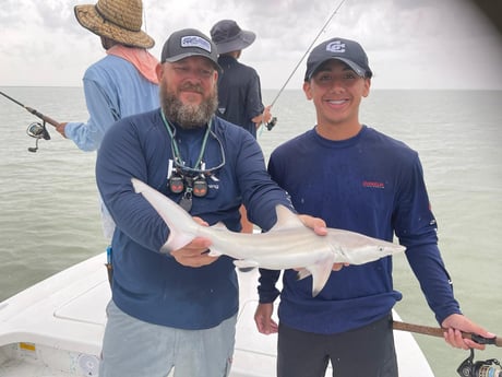 Blacktip Shark Fishing in South Padre Island, Texas