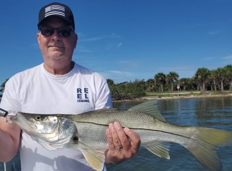 Snook fishing in New Smyrna Beach, Florida