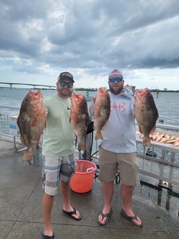 Red Snapper fishing in Clearwater, Florida