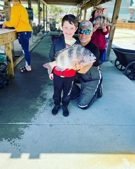 Sheepshead Fishing in Orange Beach, Alabama