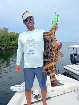 Goliath Grouper Fishing in Islamorada, Florida