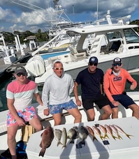 Red Grouper, Scup / Porgy, Triggerfish, Yellowtail Snapper Fishing in Jupiter, Florida