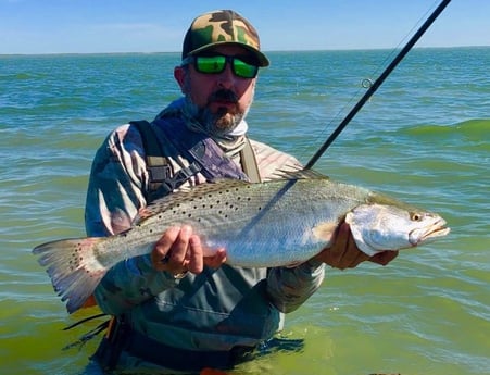 Speckled Trout / Spotted Seatrout fishing in Corpus Christi, Texas