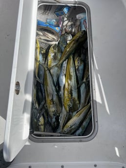 Fishing in Santa Rosa Beach, Florida