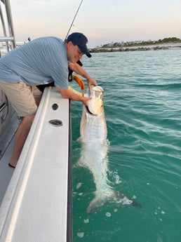 Tarpon fishing in Naples, Florida