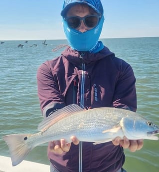 Redfish Fishing in Islamorada, Florida