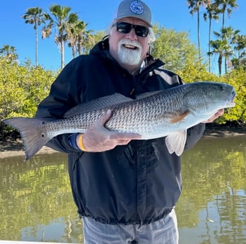 Redfish Fishing in Tampa, Florida