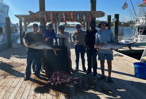 Amberjack, Little Tunny / False Albacore, Red Snapper, Triggerfish Fishing in Orange Beach, Alabama