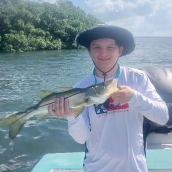 Snook Fishing in Holmes Beach, Florida