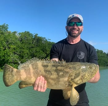 Speckled Trout / Spotted Seatrout fishing in Key Largo, Florida