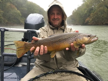 Fishing in Roswell, Georgia