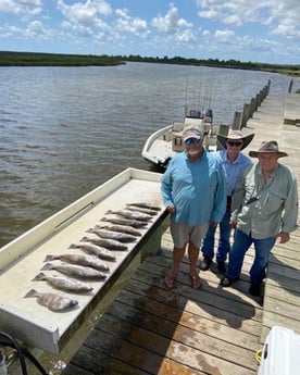 Black Drum, Speckled Trout / Spotted Seatrout fishing in Freeport, Texas