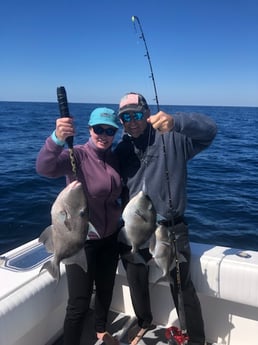 Gag Grouper fishing in Destin, Florida