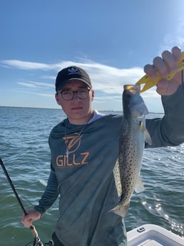 Largemouth Bass fishing in Clearwater, Florida