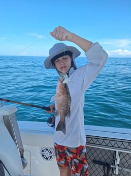 Fishing in Sarasota, Florida