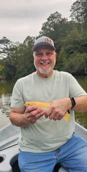 Golden Trout Fishing in Broken Bow, Oklahoma