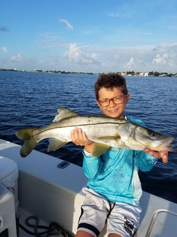 Snook Fishing in Clearwater, Florida