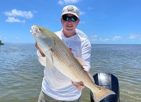 Redfish Fishing in Islamorada, Florida