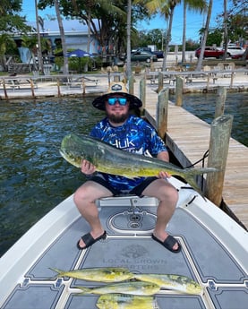 Mahi Mahi / Dorado fishing in Key Largo, Florida