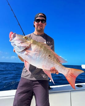 Mutton Snapper Fishing in Islamorada, Florida