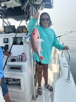 Red Snapper Fishing in Destin, Florida