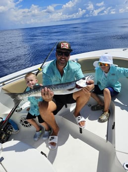 Barracuda Fishing in Fort Lauderdale, Florida