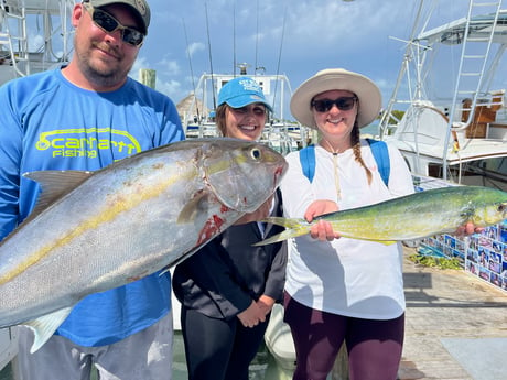 Mahi Mahi / Dorado, Yellowtail Amberjack fishing in Islamorada, Florida