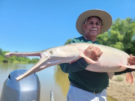 Alligator Gar fishing in Dallas, Texas