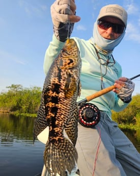 Fishing in Fort Lauderdale, Florida