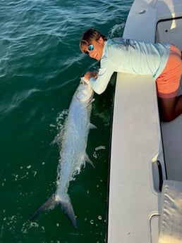 Tarpon fishing in Clearwater, Florida