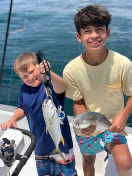 Jack Crevalle fishing in