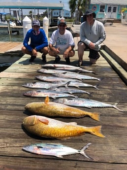 King Mackerel / Kingfish, Redfish fishing in Surfside Beach, Texas