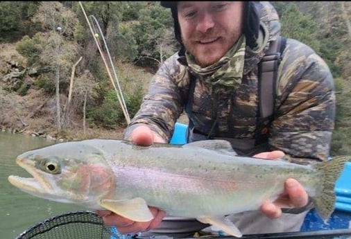 Rainbow Trout Fishing in