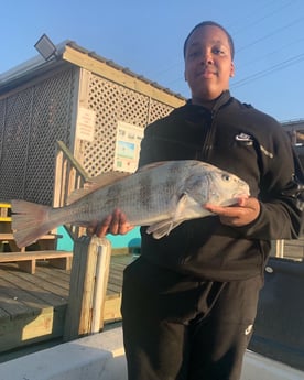 Sheepshead fishing in Corpus Christi, Texas