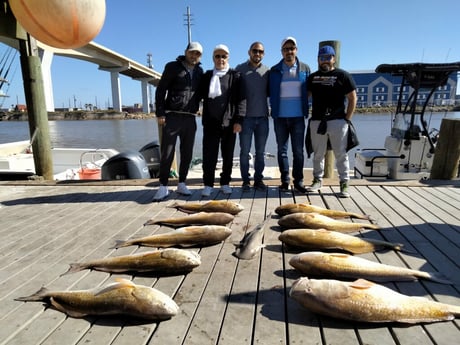 Bonnethead Shark, Redfish fishing in Freeport, Texas