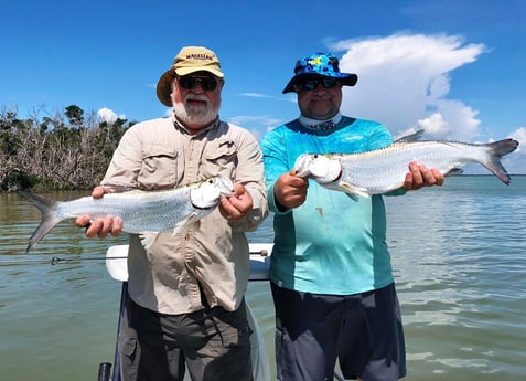 Tarpon fishing in Tavernier, Florida