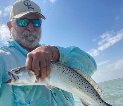 Speckled Trout Fishing in Corpus Christi, Texas