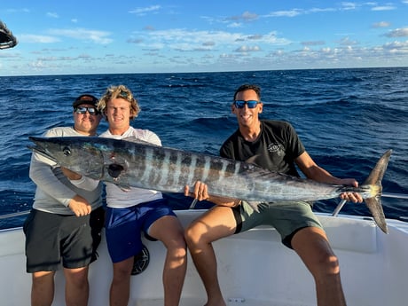 Wahoo Fishing in Fort Lauderdale, Florida