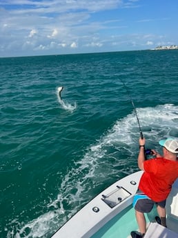 Tarpon Fishing in Marathon, Florida