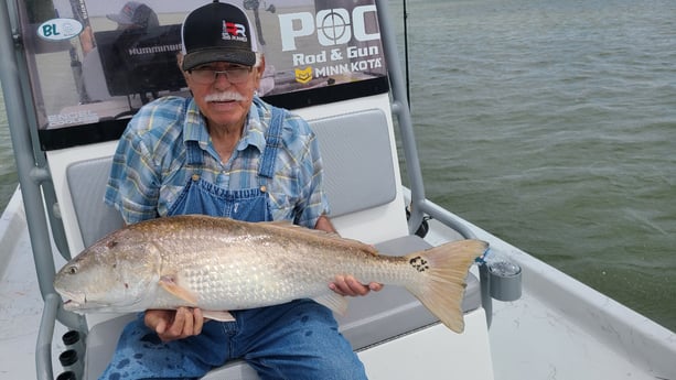 Black Drum, Redfish fishing in Port O&#039;Connor, Texas