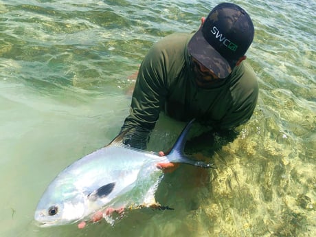 Permit Fishing in Tavernier, Florida