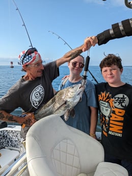 Black Drum Fishing in Charleston, South Carolina