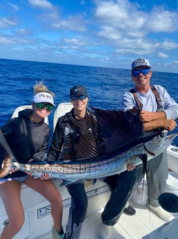 Sailfish fishing in Islamorada, Florida