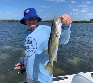 Snook fishing in Clearwater, Florida