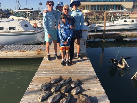 Sheepshead fishing in South Padre Island, Texas