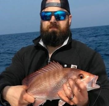 Red Snapper Fishing in Panama City, Florida