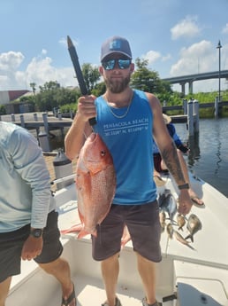 Red Snapper Fishing in Pensacola, Florida