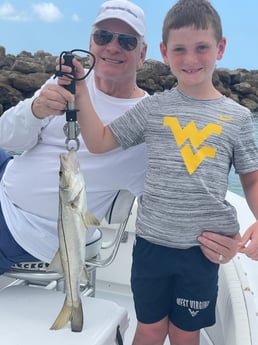 Barracuda fishing in Naples, Florida