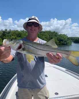 Snook fishing in Clearwater, Florida